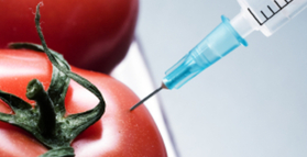Genetically modified foods and you