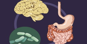 Magnesium orotate and probiotics improve mood