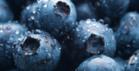 Blueberries: not too little, not too much.