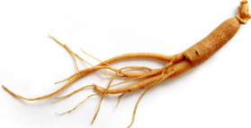 Ginseng: Alternative to Viagra 