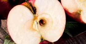 Organic food associated with 58% lower risk of birth defects