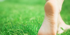 Grounding quickly improves mood