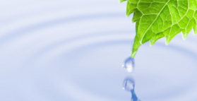 Practical tips for cleansing and detoxification