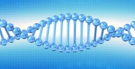 Functional medicine for breast cancer prevention