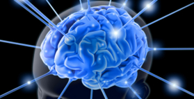 Build a better brain