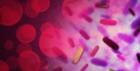 Bacteria linked to migraine headaches
