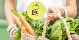 Organic diet reduces toxic chemical exposure 