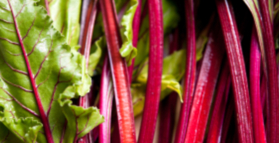 Vibrant vegetables significantly prevent breast cancer 