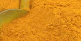 Curcumin for colorectal cancer prevention: clinical trial