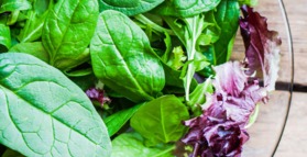 Greens are the ultimate brain food 