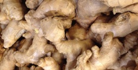 Daily ginger prevents chronic disease 