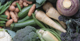 Organic diet lowers pesticide levels in kids
