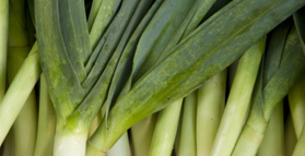 Prebiotic for leaky gut