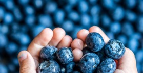 Blueberries improve mood within hours