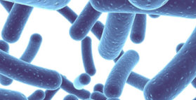 Probiotic for methane-dependant constipation