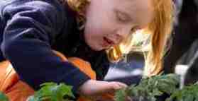 Gardening gets kids eating, and loving, their greens