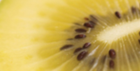 Golden kiwifruit for colds 