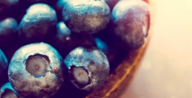 Berry fruits significantly reduce risk of type 2 diabetes 
