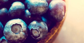 Berry fruits significantly reduce risk of type 2 diabetes