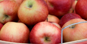 An apple a day keeps cancer at bay