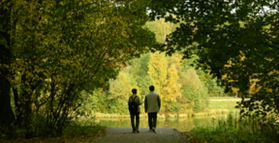 Protect your grey matter when it matters most