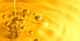 Olive oil more effective than medical gel for arthritis