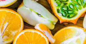 Tropical or temperate? Type of fruit matters