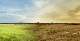 Climate change: a call to action