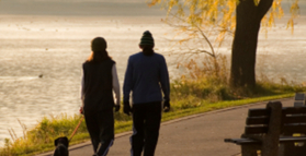 Step up your health with the 10,000 step challenge