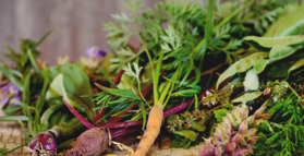 Vegetables are alive with bacteria