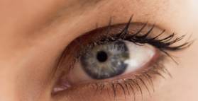 Eyes a nutritional window to the brain  