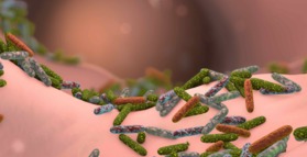 Gut bacteria-targeted diet improves mental health