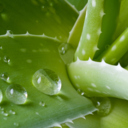 Aloe vera as effective as medication for reflux 