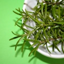 Rosemary boosts memory 