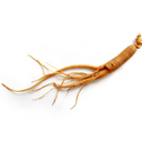 Ginseng: Alternative to Viagra 