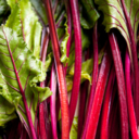 Vibrant vegetables significantly prevent breast cancer 