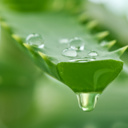 Aloe vera juice for irritable bowel syndrome