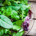 Greens are the ultimate brain food 