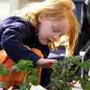 Gardening gets kids eating, and loving, their greens 
