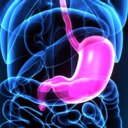 Digestive enzymes for functional dyspepsia