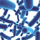 Probiotics reduce depression, suggest clinical studies 