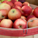 Apples: the original super food 