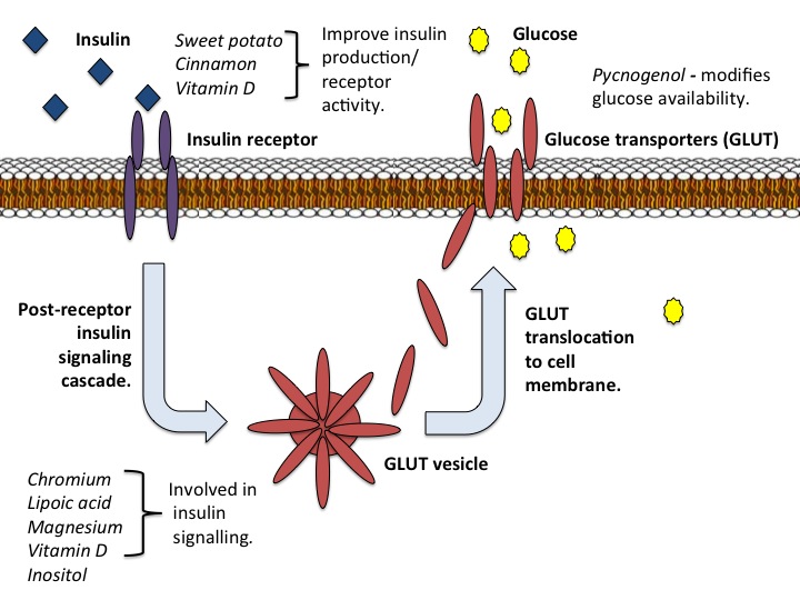 nutrients and insulin resistance 