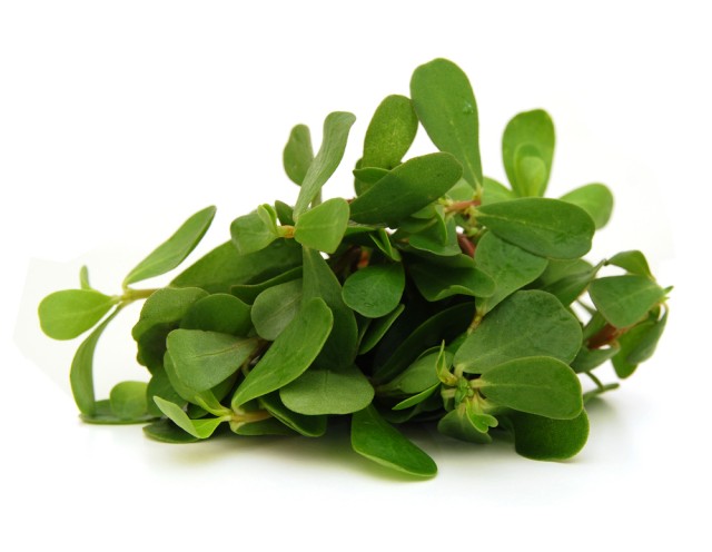 purslane super food