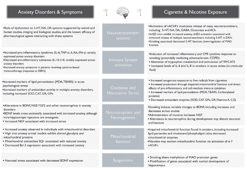 smoking and anxiety