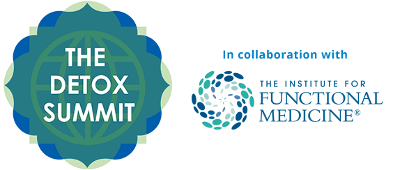 the detox summit logo